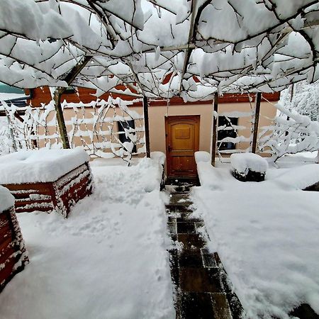 Vineyard Cottage Matej トレビニェ エクステリア 写真